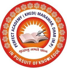PERFECT ACADEMY