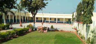 Large School Image