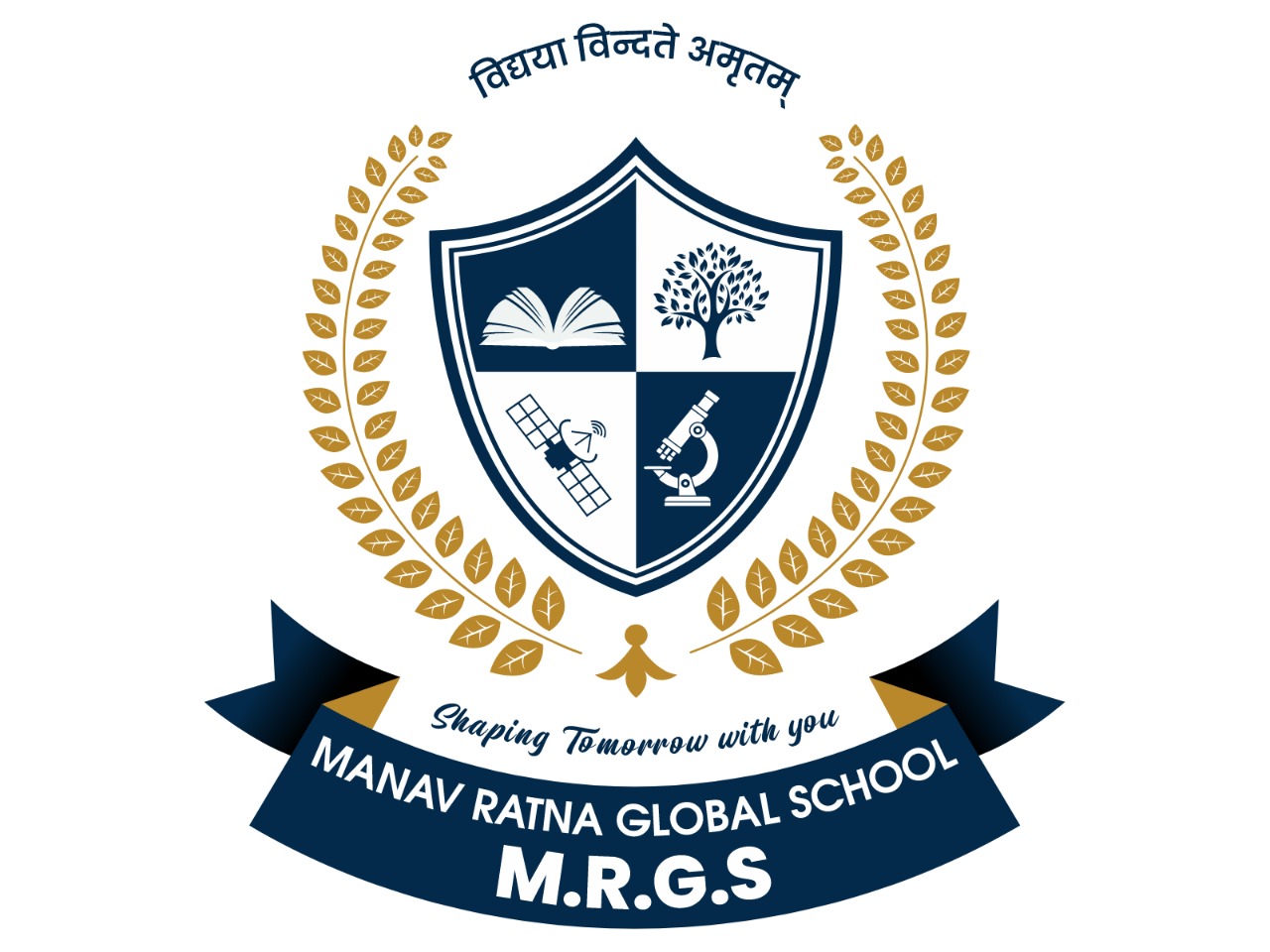 Large School Image
