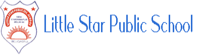 LITTLE STAR PUBLIC SCHOOL