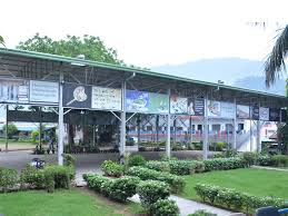 Large School Image