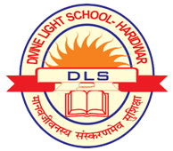DIVINE LIGHT SCHOOL