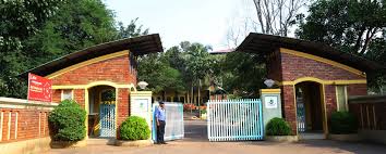 Large School Image