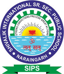 Large School Image