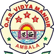 Large School Image
