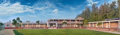 Large School Image