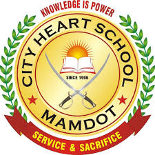 CITY HEART SCHOOL, MAMDOT